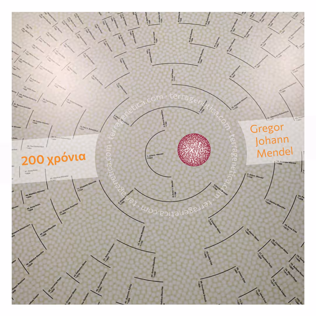terragenetica-blog-bicentenial-Mendel-birth-greek.jpg